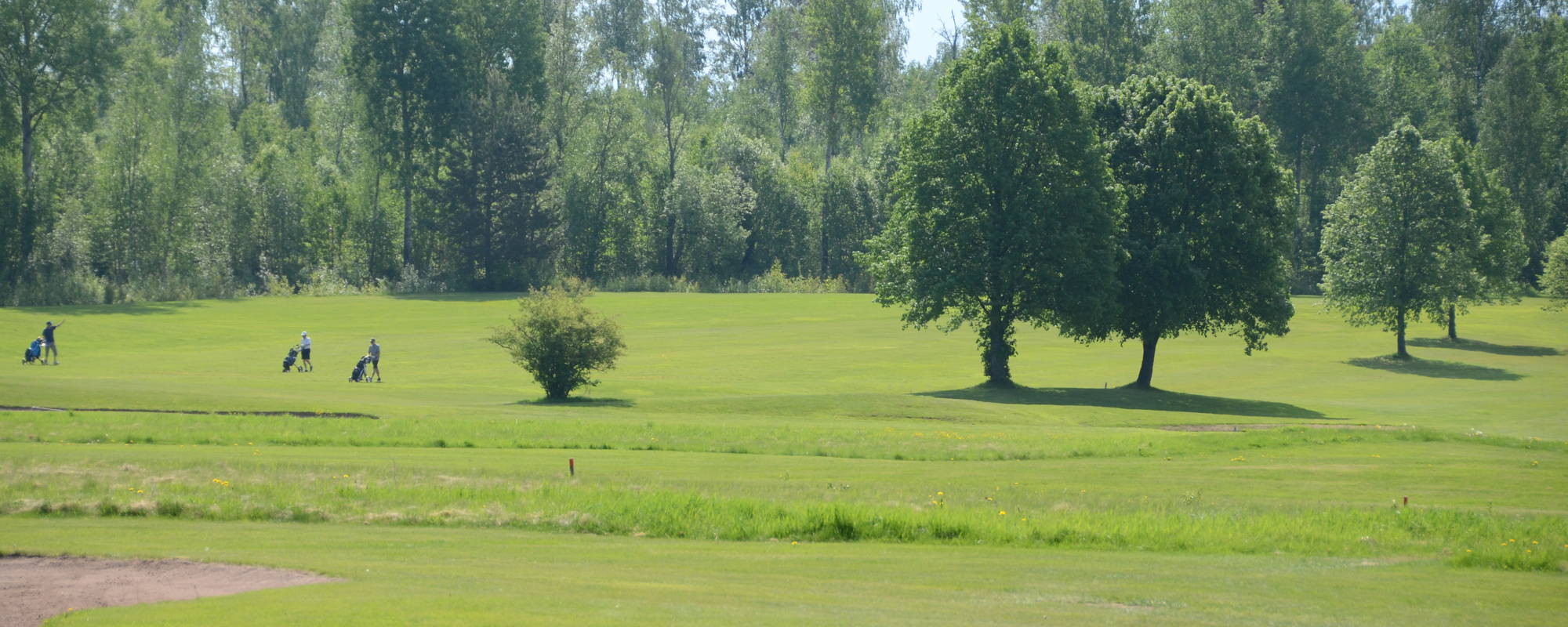 DSC 9940