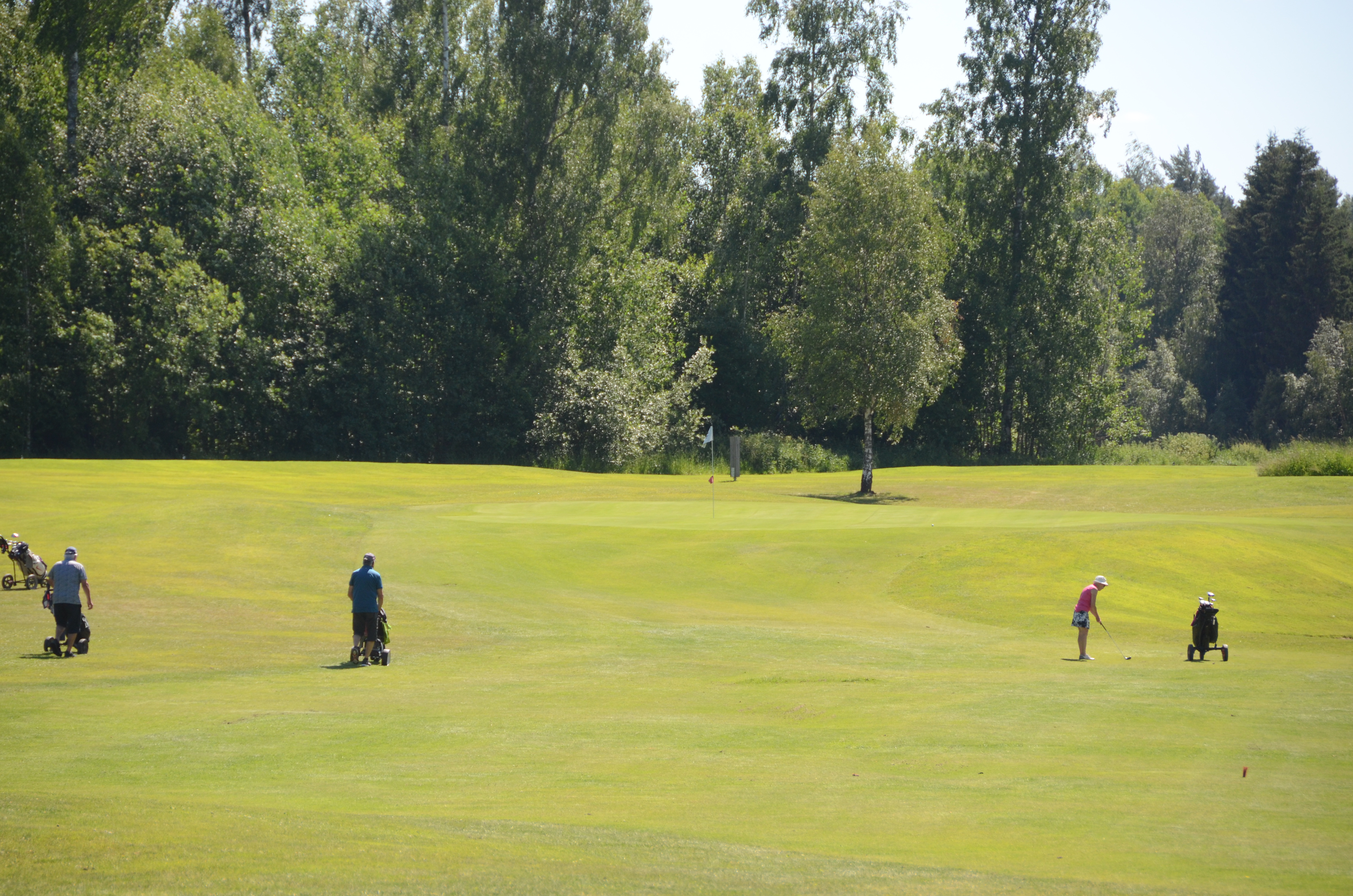 Betala årsavgiften för 2026 i Min Golf