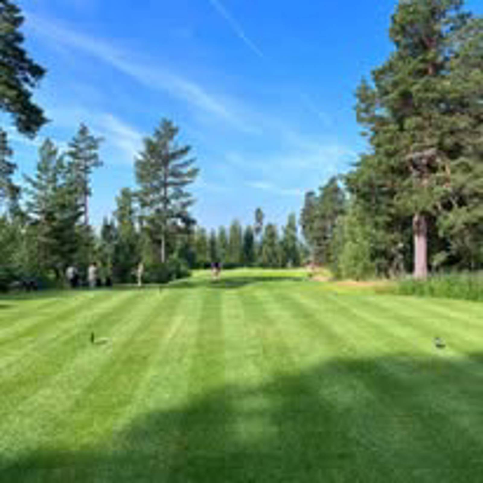 Tee 6 Renoverat