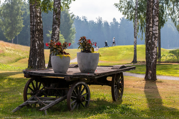Vinnare i medlemslotteriet