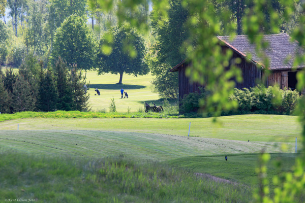 Rundtur på hemsidan