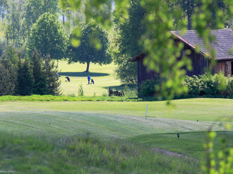 Rundtur på hemsidan
