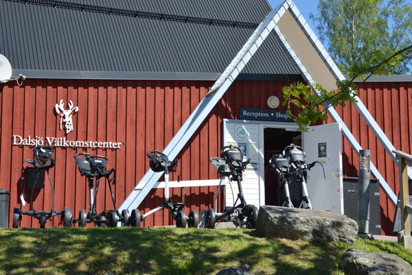 Stölder - övervakningskameror