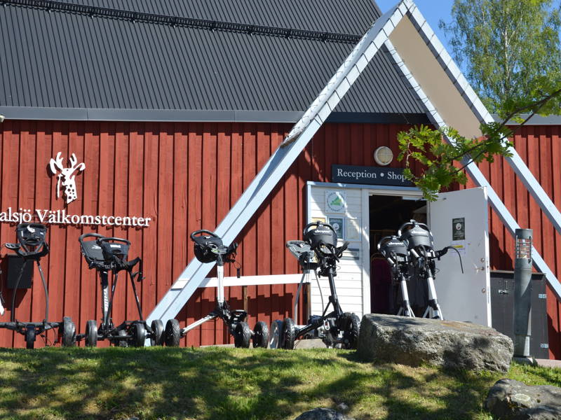 Stölder - övervakningskameror