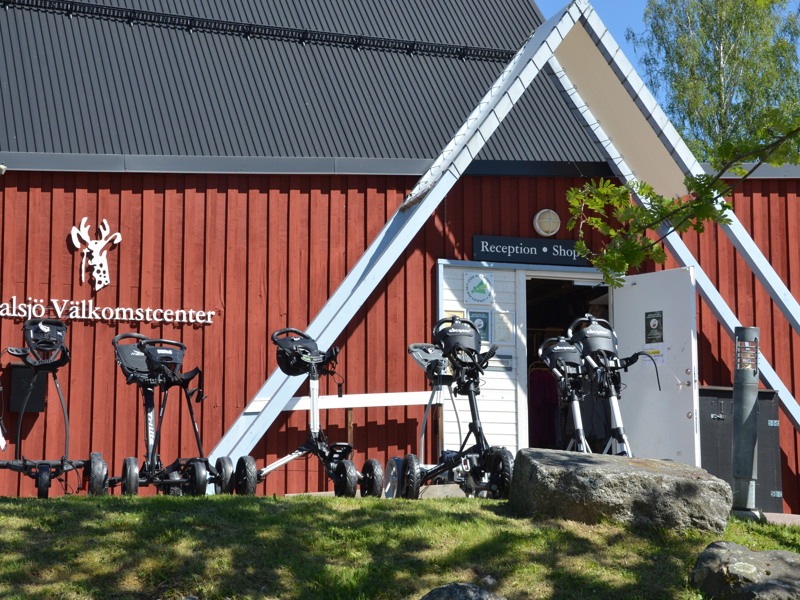 Stölder - övervakningskameror