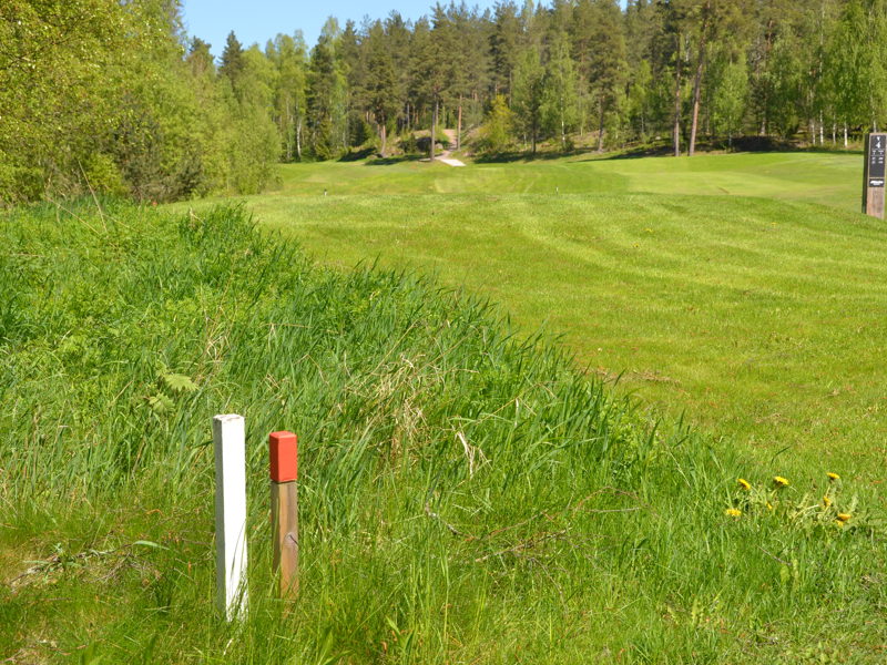 Regelvandringar med klubbens förbundsdomare