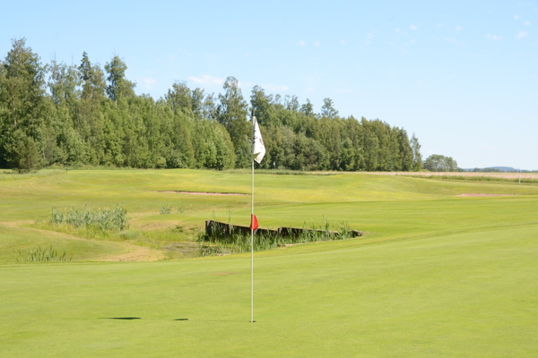 Golfens SM-vecka 2025