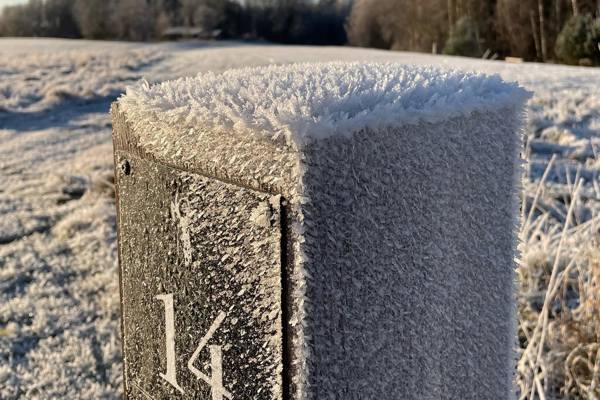 Frostvarning