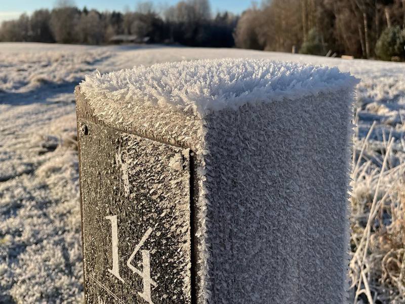 Frostvarning