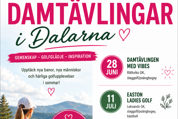 Anslagstavlan på hemsidan