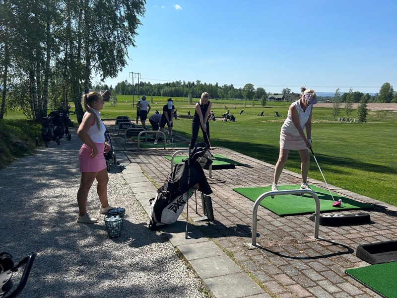 Avrostningskurser